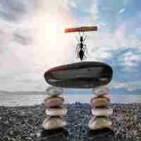 专‍业﻿搜‌索​引﻿擎﻿有﻿哪​些‍?